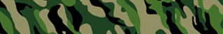 Cartão Camuflagem Verde
